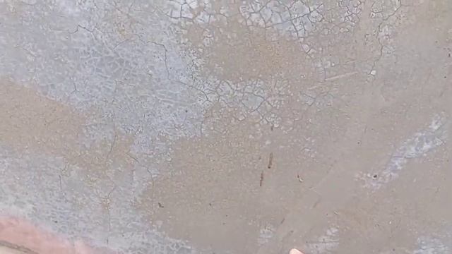 15 * 4 के Cement Tank में कैसे करे मछली पालन . Live देखिए . смотреть онлайн