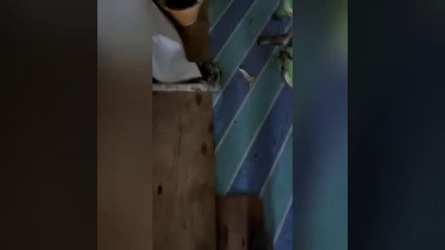 cement craft kaedah mengecat batu batan bahagian pertama (badrul simen kraf) смотреть онлайн