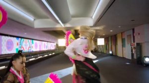 Клип @dancee_biz