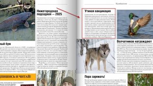 Яндекс перевод картинки в текст