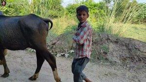 Indigenous Life Of Man In India! || Rural Life in India UP || Farmer Life In India UP