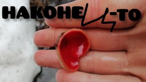 Грибной🍄 сезон 2025 начился!!! #грибы #грибалка #лес #гриб #грибы2025