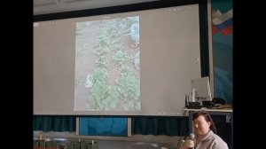 Весенние страсти по землянике, а также гортензия и томаты.