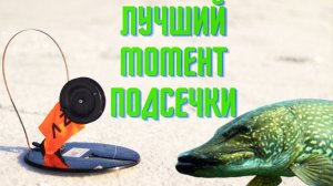 Когда подсекать щуку при рыбалке на жерлицы? Лучший момент для подсечки