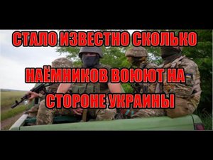 СКОЛЬКО НАЁМНИКОВ В УКРАИНИ СТАЛО ИЗВЕСТНО