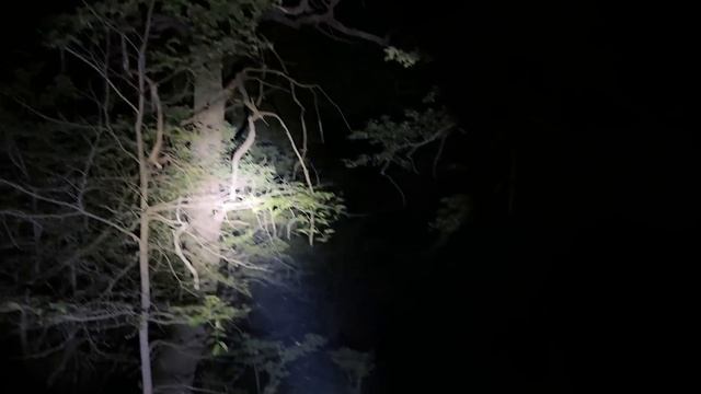 ПРИШЁЛ НА ШАБАШ В НОЧНОМ ЛЕСУ! ЧТО ЗДЕСЬ ПРОИСХОДИЛО?