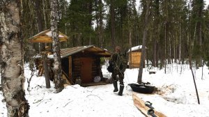 Три дня в тайге. Привада на медведя.