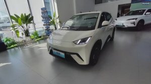 BYD Seagull EV - привезем из Китая