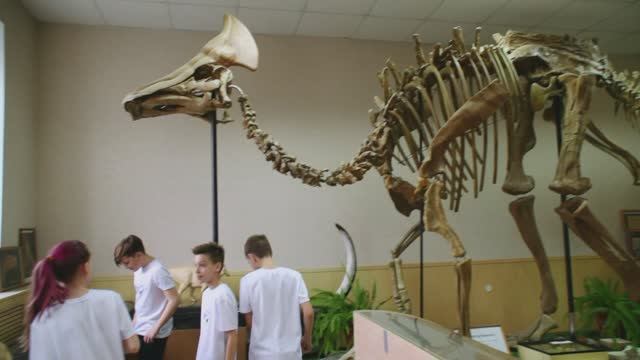 Исчезнувший мир Приамурья смотреть онлайн