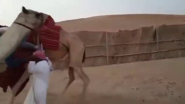 8 ноября 2019 г. смотреть онлайн