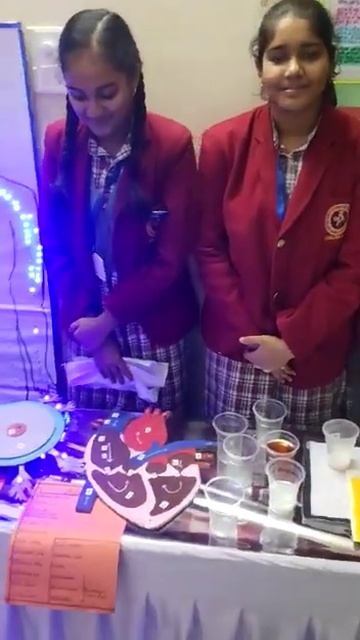 School science exhibition смотреть онлайн