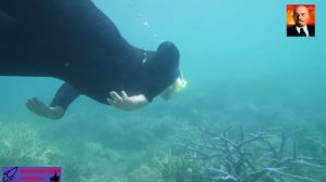 Большой барьерный риф 4