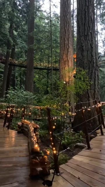 Сумерки смотреть онлайн