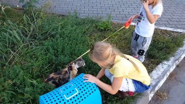 Переезд Николь и Алисы: Новая страна, новое начало! Ожидания, волнения и веселые приключения! смотреть онлайн