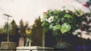 Самая нежная мелодия года - Indie (No Vocals) -- BlackTrendMusic -- Unnamed album