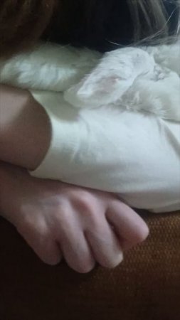ортопедическая подушка 🐰самая мягонькая 🙂