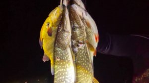 Подводная охота в Московской области, г. Раменское...