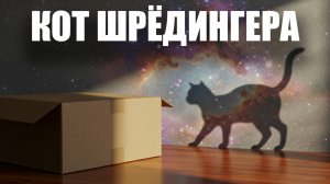 😼 Кот ШРЁДИНГЕРА – ЖИВОЙ или МЁРТВЫЙ? 🧪 Квантовая загадка, которую никто не разгадал! ГРАНР