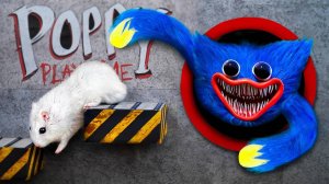 МУЛЬТИКИ ДЛЯ ДЕТЕЙ ХОМЯК ПОДНИМАЕТСЯ НА ВЕРХ И СПАСАЕТ ИГРУШКУ мультики для детей