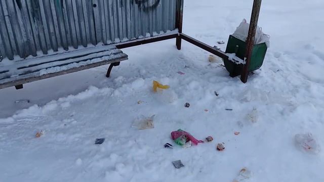 Остановка в деревне Чернецкое поселение Кленовское / ТиНАО обеденное время 26 декабря 2021 год смотреть онлайн