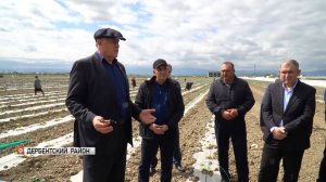 Абдулмуслим Абдулмуслимов проверил реализацию крупных аграрных инвест-проектов в муниципалитетах
