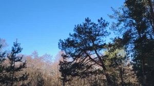 Вредные привычки в жизни и на работе