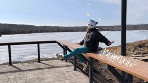 котик сидит)) #краймитоп