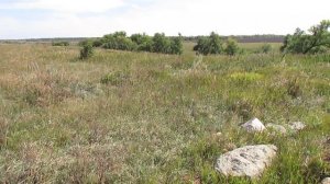 Исчезнувшая деревня Федоровка, Аткарский район.