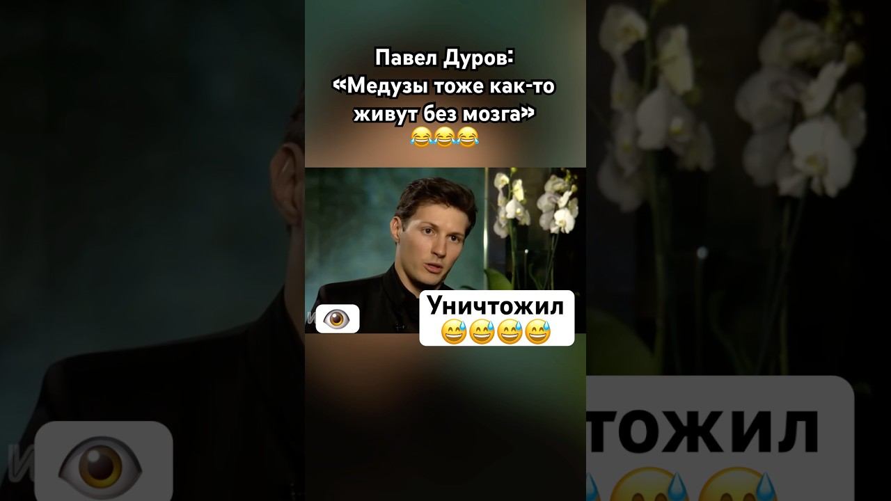 Дуров тонко про мозг журналистки #павелдуров #дуров #озвучка #знаменитости