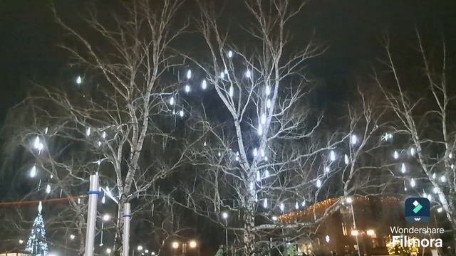 Воронеж#Воронежская область#Нелжа