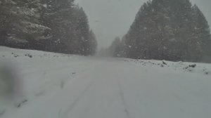 Весна, которой мы не ждали