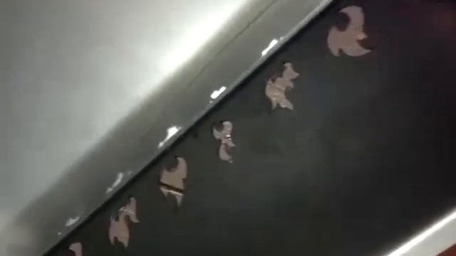 Мангал разборный смотреть онлайн