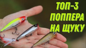 Топ-3 лучших поппера для ловли щуки! Лучшая поверхностная приманка на хищника