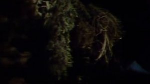 Карлик Нос (Zwerg Nase) 1978