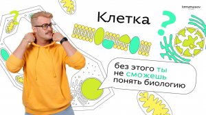 Строение клетки - Весенняя школа в Lomonosov School