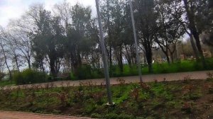 Аршинцево. Парк, склон, ул. Первых Космонавтов. Прогулка 05.04ю25