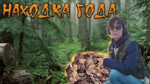 Нашла древние сокровища! Находка года с металлоискателем!