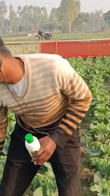 Ankit Kumar gobhi ki Safai ###phool gobhi क्या-क्या lagana chahie смотреть онлайн