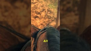 Домодедово конный 🐎 клуб СОТИС