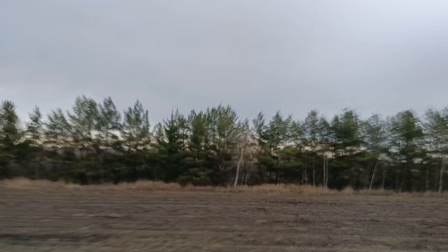 Едем по республике Татарстан.