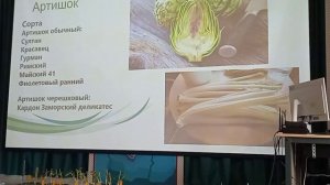 Редкие овощные культуры на огороде_ артишок , бамия , кивано и др.