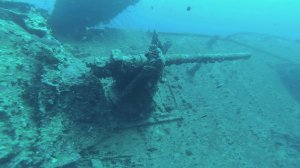 Где-то на дне Красного моря