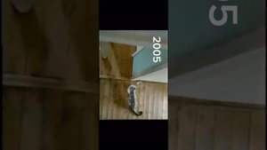 Все рекламы whiskas (2000-2010)