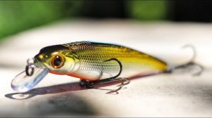 Воблер Usami Nishin. Стоит ли купить Greedy Guts на минималках?