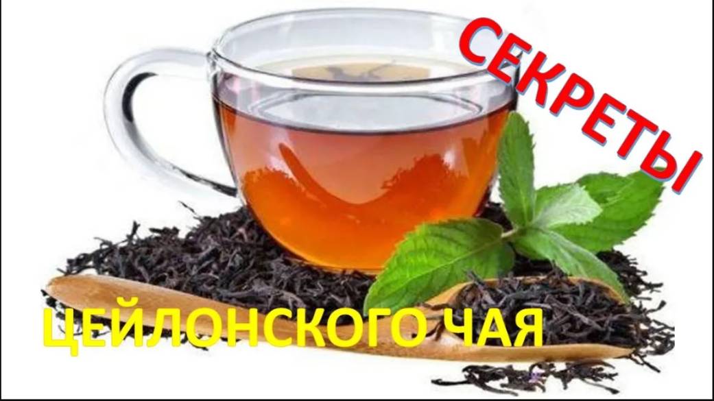 Познаем СЕКРЕТЫ цейлонского чая!!
