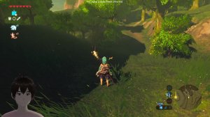 The Legend of Zelda Breath of the Wild
