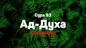 Сура 93 Ад-Духа - Али Джабир
