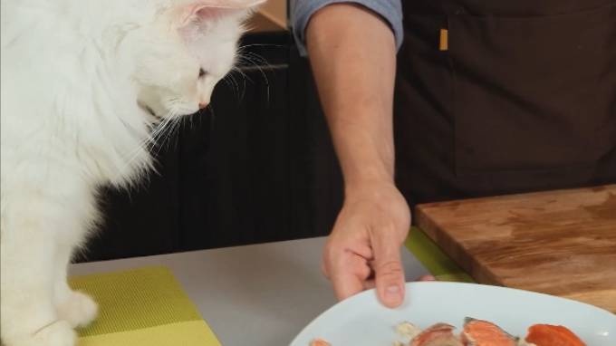 Лучшее блюдо для котейки! #кусьшоу #котики #рецепты #вкусняшки