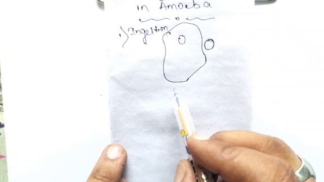 CLASS 10 SCIENCE LIFE PROCESSES HETEROTROPIC NUTRITION PART 3