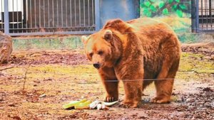 ⁉️Рубрика #Вы_у_нас_спрашивали…